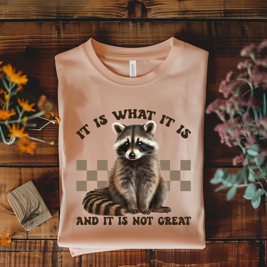 It Is What It Is & It Is Not Great Tee